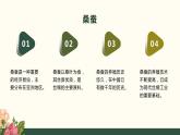 [皖教版]三年级下册综合实践活动2.识蚕养蚕教学课件