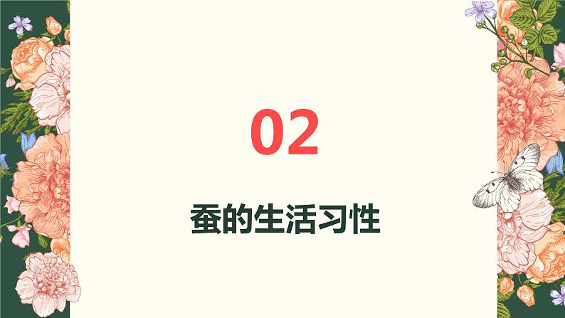 [皖教版]三年级下册综合实践活动2.识蚕养蚕教学课件第7页