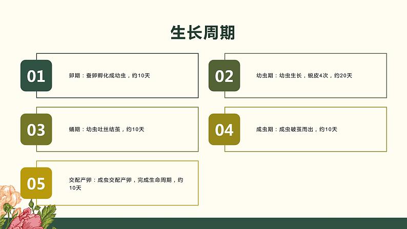 [皖教版]三年级下册综合实践活动2.识蚕养蚕教学课件第8页