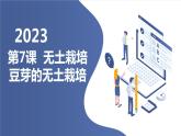 粵教版六年級上冊綜合實(shí)踐活動第7課無土栽培—豆芽的無土栽培教學(xué)課件