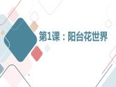 粤教版五年级上册综合实践活动第1课阳台花世界教学课件