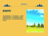 粵教版一年級綜合實踐活動上冊第2課_神奇的影子教學課件