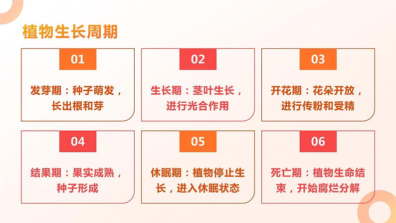 粤教版三年级上册综合实践活动7走进植物王国教学课件08