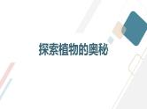 粤教版三年级下册综合实践活动第1课我的植物“邻居”教学课件