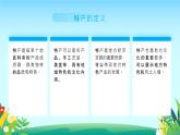 粤教版五年级上册综合实践活动1家乡特产教学课件