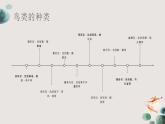 粤教版五年级上册综合实践活动4我和鸟类做朋友教学课件