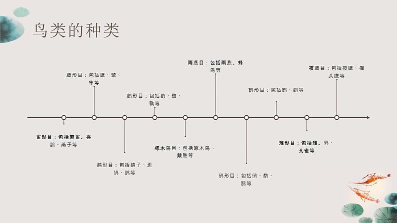 粤教版五年级上册综合实践活动4我和鸟类做朋友教学课件第4页