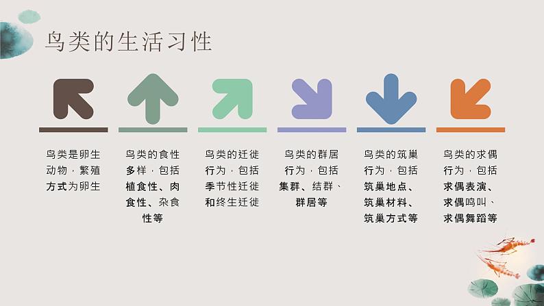 粤教版五年级上册综合实践活动4我和鸟类做朋友教学课件第5页