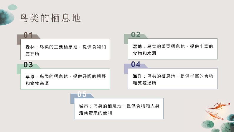 粤教版五年级上册综合实践活动4我和鸟类做朋友教学课件第8页