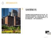 粤教版五年级上册综合实践活动第三课我和鸟类做朋友教学课件