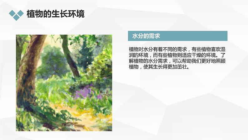 三年级综合实践活动上册第4课探索自然，认识植物教学课件第5页