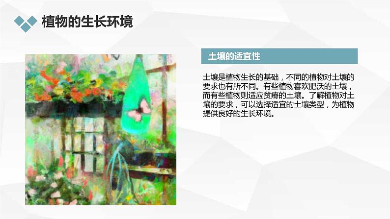 三年级综合实践活动上册第4课探索自然，认识植物教学课件第7页