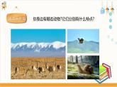 【粵教版】四下綜合實踐《動物是人類的朋友》課件
