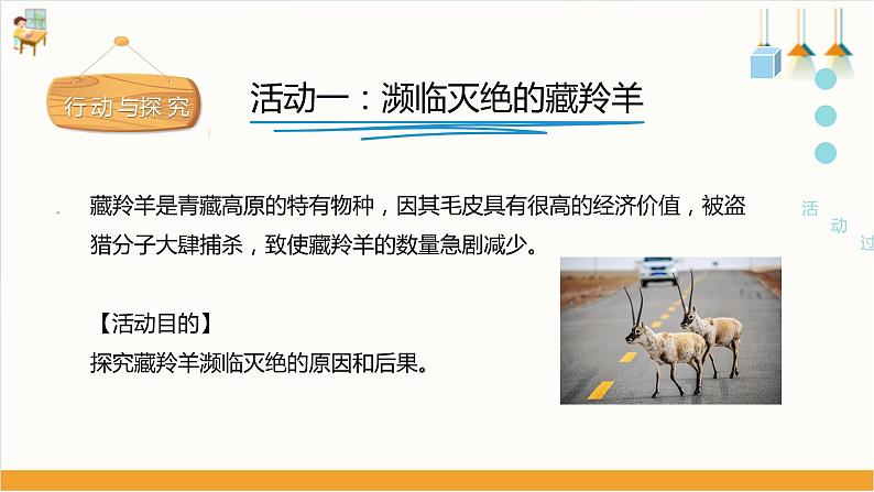 粤教版四年级下册综合实践活动 动物是人类的朋友 课件（16张PPT） 第6页