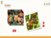 【粤教版】三上综合实践  第一单元 岭南佳果 第一课时（课件+教案）