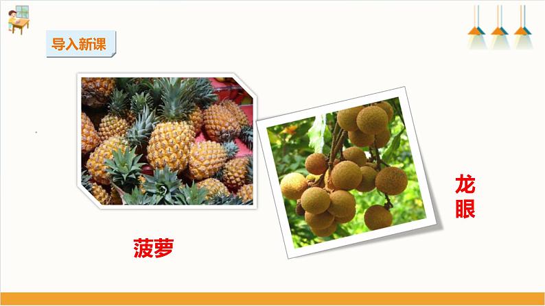 综合实践活动指引  三年级第一单元第一课时《岭南佳果》课件第4页