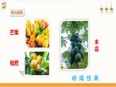 【粤教版】三上综合实践  第一单元 岭南佳果 第一课时（课件+教案）