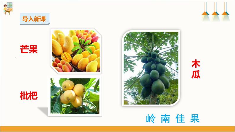 综合实践活动指引  三年级第一单元第一课时《岭南佳果》课件第5页