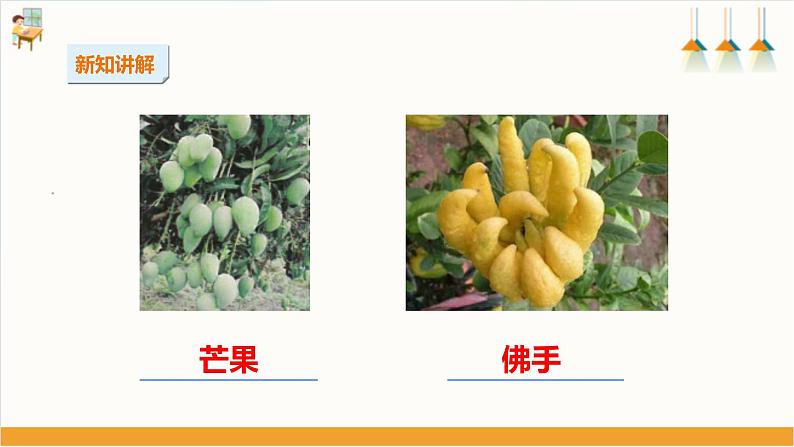 综合实践活动指引  三年级第一单元第一课时《岭南佳果》课件第7页