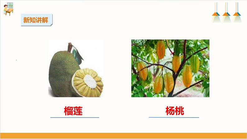 综合实践活动指引  三年级第一单元第一课时《岭南佳果》课件第8页