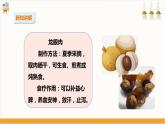 【粤教版】三上综合实践  第一单元 岭南佳果 第二课时（课件+教案）