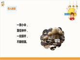 【粵教版】二上綜合實(shí)踐  第二單元 和蔬菜交朋友 第二課時(shí)（課件+教案）