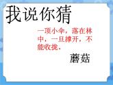 1　我和蔬菜交朋友课件PPT
