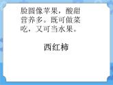 1　我和蔬菜交朋友课件PPT