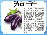 1　我和蔬菜交朋友课件PPT