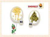 海天版综合实践活动一年级第一单元豆子有趣课件