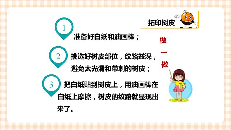 海天版综合实践活动一年级第二单元大树真美课件第8页