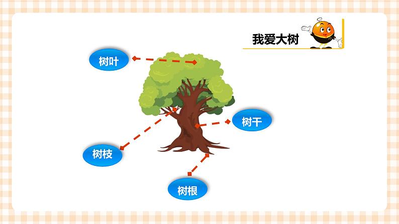 海天版综合实践活动一年级第三单元我爱大树课件03