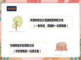 综合实践活动指引二年级第三单元 第二课时《户外生存我能行》课件