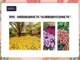 深圳版综合实践活动指引三年级 第2单元 我身边的秋天 课件