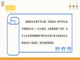 【沪科·黔科版】五上综合实践  农业小当家 活动二《不用土的栽培术》课件+教案