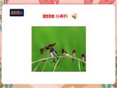 深圳版综合实践活动指引四年级 第二单元“藏” 在校园中的小生灵 课件+素材