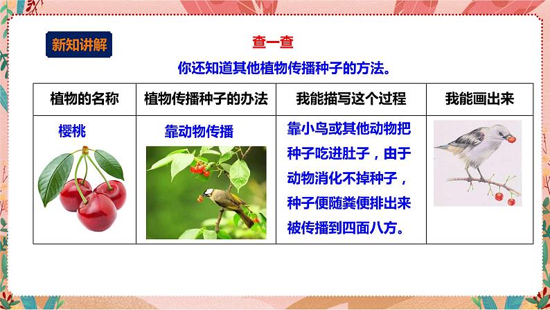 深圳版综合实践活动指引四年级《探秘课文中的小生灵》第2单元 课件第6页