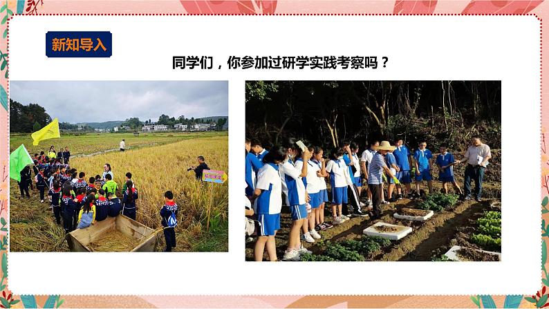 综合实践活动指引六年级《走读深圳》第2单元 行走深圳+研学分享 课件第2页