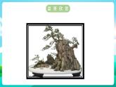 沪科黔科版综合实践活动五年级下册 第六单元 《生活中的塑料 活动二 自制泡沫盆景》课件