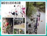 沪科黔科版综合实践活动五年级下册 第六单元 《生活中的塑料 活动三 “限塑令”有效吗》课件