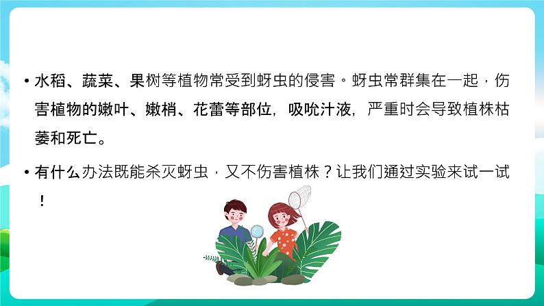 沪科黔科版综合实践活动六年级下册 第7单元《灾害的预防与应对 活动二 消灭蚜虫》课件第4页