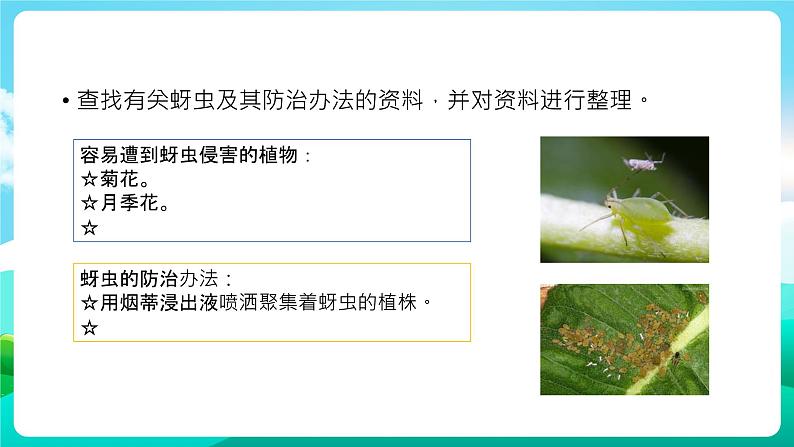 沪科黔科版综合实践活动六年级下册 第7单元《灾害的预防与应对 活动二 消灭蚜虫》课件第5页