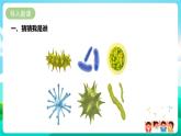 粤教版五年级综合实践活动下册  第二单元《微生物的妙用》第一课时  课件+教案