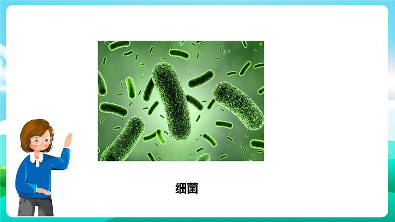 粤教版五年级综合实践活动下册  第二单元《微生物的妙用》第一课时  课件+教案05