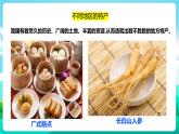 粤教版五年级综合实践活动下册 第六单元《家乡的特产》第一课时课件+教案