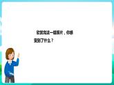粤教版五年级综合实践活动下册 第八单元《镜头下的美丽世界》第一课时 课件+教案