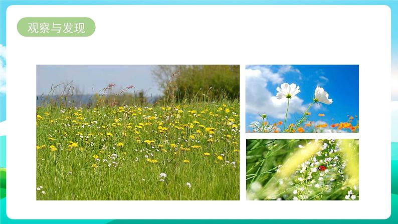 粤教版四年级综合实践活动下册《感受春天》  课件04