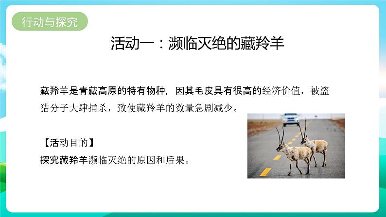 粤教版四年级下册综合实践活动 《动物是人类的朋友》 课件第6页