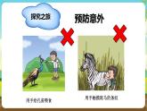 沪科黔科版综合实践活动四年级下册  活动二 《外出游玩讲安全》 课件