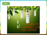 沪科黔科版综合实践活动四年级下册 活动一 《家庭用电情况调查》 课件
